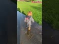 Splashing in puddles