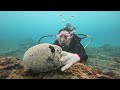 scuba diving in Yakushima!