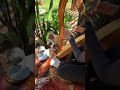 Relaxing Harp and Plant Music