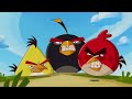 Angry Birds Toons | Tooth Royal - S1 Ep32