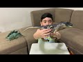 EthanCalix12 Reviews : Mattel Jurassic World Dominion Extreme Damage Allosaurus