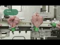 Chicken Hatchery Technology - Raising Broiler Farm - Modern Poultry Slaughter & Processing Plant