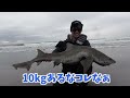 初心者がサーフで釣るまで終わりません！巨大魚登場！遂に待望のHIT！