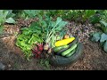 Growing All of Our Fruit and Vegetables in the Forest: Amazing Transformation in 1 Year