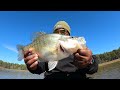 The Biggest Crappie You Will Ever See Pre-Spawn w/LiveScope Settings