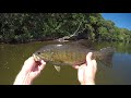 Slammin' Smallies During The Mayfly Hatch