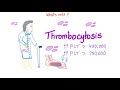 Arachidonic Acid Pathway- The most Comprehensive Explanation - COX-1, COX-2, LOX,Prostaglandin, LTNs