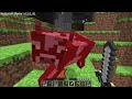 A Minecraft Lets Play But every episode I update the version (2)