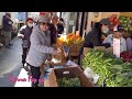 🇺🇸Ngắm Cây cầu cổng vàng-phố Tàu-chợ và Phà| Golden gate bridge-china Town-market place and ferries