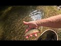 BRILLIANT Pre-Spawn BROOKIES on the FLY - NORTHERN TIER, PA