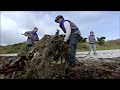 Jardins secrets sur les îles de Bretagne : Bréhat, Batz, Belle-Île-en-Mer - Des Racines et des Ailes