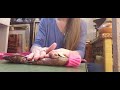 ASMR folding sorting puppy clothes hand movements