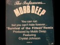 Mobb Deep Survival Of The Fittest Remix Instrumentals (*RARE*)