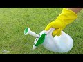 How to get rid of sedge and other weeds on the lawn