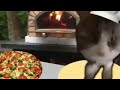 Cat Cooks You Pizza For 2:16.29!