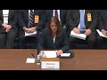 Secret Service director testifies before House panel on Trump assassination attempt | full video