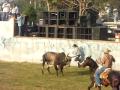 san jose del carmen jalisco