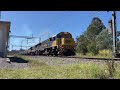 Watco WRB 2177 & WRB 2183 Southbound Cattle, Oakhurst, QLD