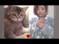 Try Not To Laugh Cats And Dogs Videos😬🐶New Funny Animals Video 2024