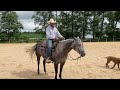 Horse Riding with Confidence: Essential Skills for Understanding Leg Pressure!