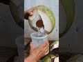 fresh coconut water, amazing coconut peeling skills part 253#cuttingskills #coconutwater#coconutmilk