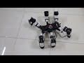 Hexapod Robot - Memphis: Tripod Gait