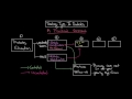 Treating type II diabetes - A practical approach | NCLEX-RN | Khan Academy