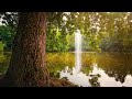 Beautiful Relaxing Music - Enjoy the Day at the Lake