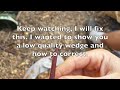 Grafting Fruit Trees Using a Wedge Graft (Complete Guide)