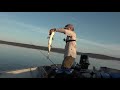 Lake Trout Jigging Techniques That Guides Don't Want You to Know!