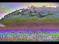 Commander DVR Test