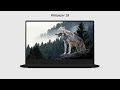 20 Amazing PC Wallpapers You Should Try Out in 2024!