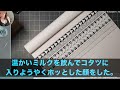 【スカッとする話】大雪の深夜、赤ちゃんを背負い数時間歩いてきた7歳の孫「あの…病院代を貸してください」夫「無理に決まってるだろ！」孫「そんな…」→直後、夫は驚きの行動に…