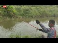 Ini Yang Terjadi.!! Kalau Nemu Spot Baru Yang Ikanya Pada Kelaparan pokoknya plungnyut! Mancing Liar