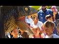 DinoFest 2017