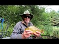 An Anglers Diary with A Moment in Time Channel - Chapter 120 - Chub- Barbel-Carp-Crucians