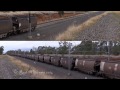 Distributed power EMD's hauling coal : Australian Railways