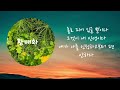 #임정미 뜨개의 꿈 - 황매화 사랑