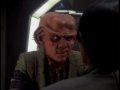 Quark solves the problem of War with Economics