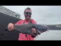 Fishing NEW Spillways for HUGE River Monsters!! (New PB Fish)