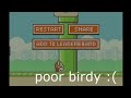 Flappy Bird in your Browser!