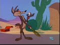 Wile E. Coyote vs. the Cactus