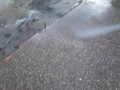 My Father Rinsing this beautiful exposed aggregate patio that we poured 2012