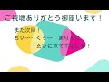 小学5年生でも散歩バッチリ！ジャーマンシェパード