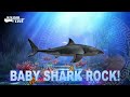 BABY SHARK ROCK