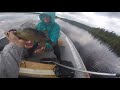 Maskara Lake 2019 Nice walleye