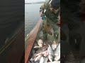 What a Good Unique Tools Fish Trap  Of Catching Lot Of Fish🐟🎣#shorts #viral #fishing