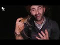 Fouseytube defiles a frog