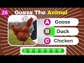 Guess 30 Animals in 10 second.🐶🐈 | {Easy, Medium, Hard, Impossible}Hayvanı Tahmin Et!