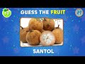 Guess the Fruit in 3 Seconds 🍍🍓🍌 100 Different Types of Fruit - Dolphin Quiz